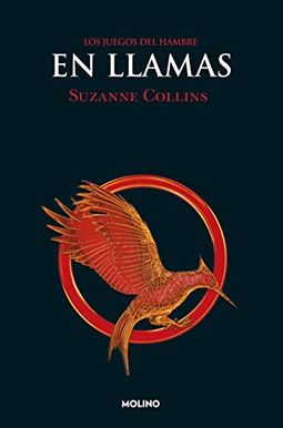 Catching Fire Catching Fire