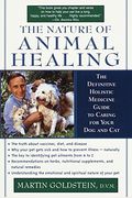 The Nature Of Animal Healing: The Path To You