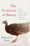 The Evolution Of Beauty: How Darwin's Forgotten Theory Of Mate Choice Shapes The Animal World - And Us