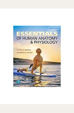 Buy Essentials Of Human Anatomy & Physiology Book