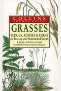 Grasses, Sedges, Rushes and Ferns of Britain and Northern Europe (Collins Pocket Guide)
