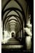 Hear Our Silence: A Portrait Of The Carthusians