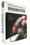Introduction To The Study Of Insects