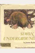 Simon Underground