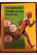 The Muscular System: How Living Creatures Move