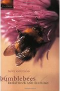 Bumblebees: Ecology And Behaviour