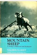 Mountain Sheep: A Study In Behavior And Evolution