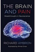 The Brain And Pain: Breakthroughs In Neuroscience