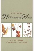 A Guide To Wildflowers In Winter: Herbaceous Plants Of Northeastern North America