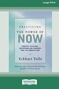 Practicing The Power Of Now(Bk