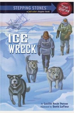 Ice Wreck Ice Wreck