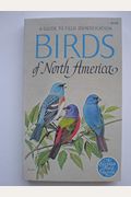 Guide To Birds Of North America
