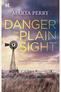 Danger In Plain Sight: An Amish Suspense Novel