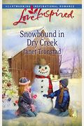 Snowbound In Dry Creek (Dry Creek Series #14) (Love Inspired #465)