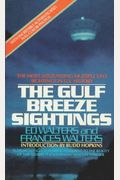 The Gulf Breeze Sightings