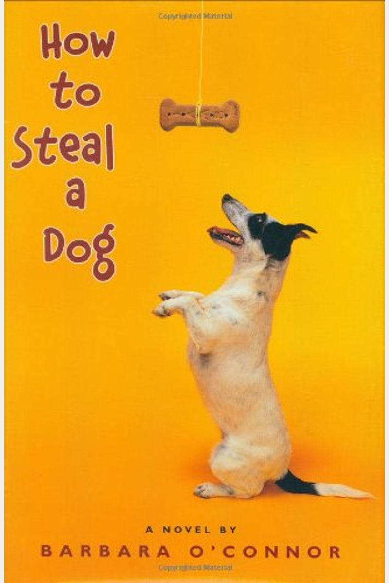 How To Steal A Dog