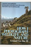 How I Photograph Wildlife And Nature