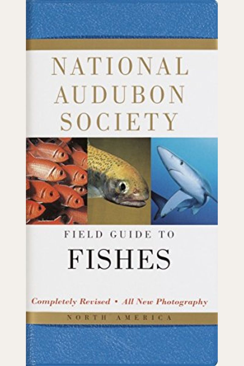 National Audubon Society Field Guide To Fishes: North America