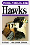 Peterson Field Guide(R) To Hawks (Peterson Field Guide Series, 35)