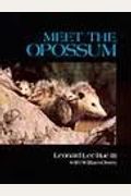 Meet the Opossum