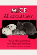 Mice, All About Them