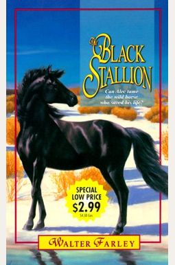 The Black Stallion The Black Stallion