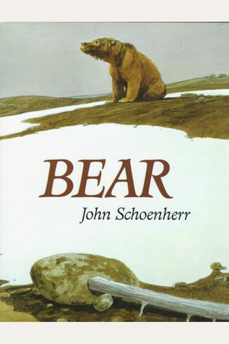 Bear