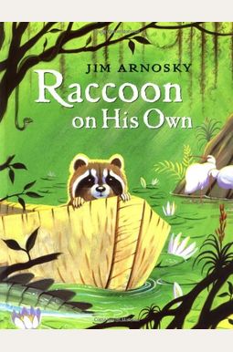 Raccoon On His Own Raccoon On His Own
