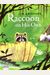 Raccoon On His Own