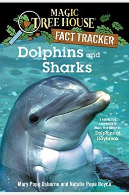 Dolphins And Sharks Dolphins And Sharks