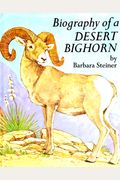Biography Of A Desert Bighorn