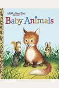 Wcs Baby Animals 2000 Calendar