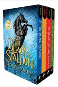 The Black Stallion Adventures: The Black Stallion Returns; The Black Stallion's Ghost; The Black Stallion Revolts