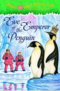 Eve Of The Emperor Penguin