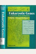 Eukaryotic Genes: Their Structure, Activity, and Regulation