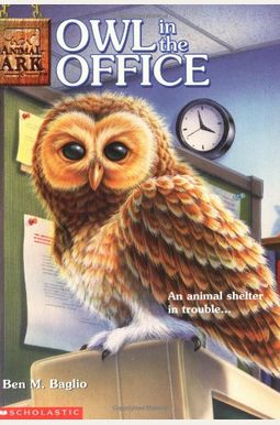 Owl In The Office Owl In The Office