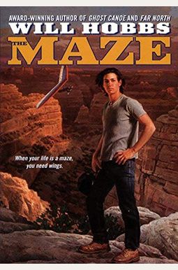 The Maze The Maze