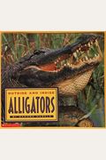 Outside And Inside Alligators