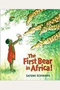 The First Bear In Africa!