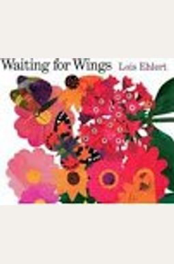 Waiting For Wings Waiting For Wings