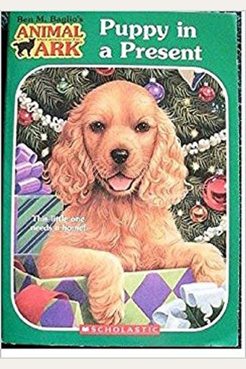 Puppy In A Present (Animal Ark Holiday Treasury #5)