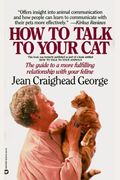 How To Talk To Your Cat