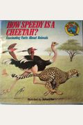 How Speedy Is Cheetah