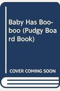 Baby Has Boo-boo (Pudgy Board Book)