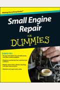Small Engine Repair For Dummies