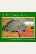 A Pill Bug's Life