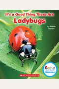 It's A Good Thing There Are Ladybugs