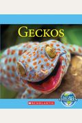 Geckos (Nature's Children)