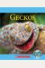 Geckos (Nature's Children)