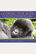 Looking For Miza: The True Story Of The Mountain Gorilla Family Who Rescued On Of Their Own